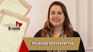 Explica Direito Filiação Socioafetiva  2019 [upl. by Julianne]