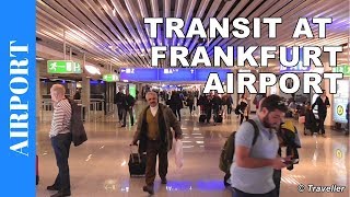 TRANSIT WALK AT FRANKFURT Airport FRA Terminal 1  Connection Flight Transfer Arriving amp Departing [upl. by Martynne]